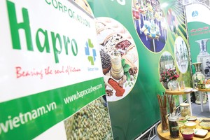 Tại Hapro, một cổ đông chiến lược và hai cổ đông lớn sở hữu tổng cộng gần 98% vốn điều lệ.