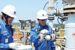 Ám ảnh gánh nặng tỷ giá 