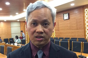 TS. Nguyễn Bích Lâm