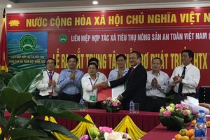 Ra mặt Trung tâm Hỗ trợ phát triển hợp tác xã Việt Nam