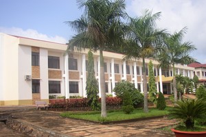 Cao su Đồng Phú (DPR): 11 tháng đạt 272,5 tỷ đồng  lợi nhuận