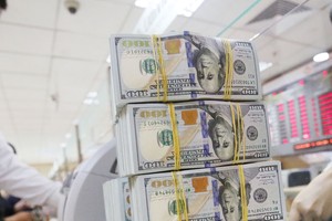 Năm nay, kiều hối chuyển về TP. HCM ước đạt 5 tỷ USD, chiếm khoảng 50% tổng lượng kiều hồi về Việt Nam.