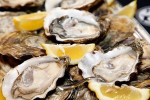 Người đàn ông mải mê ăn hàu cắn trúng viên ngọc trai 4.000 USD