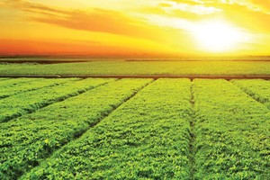 Trông đợi TTCK giải cơn “khát” vốn  cho phát triển xanh