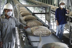 Doanh nghiệp xi măng thận trọng bước vào năm 2019