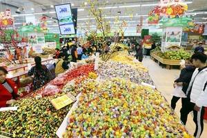 Mức tăng 9,4% (đã loại trừ yếu tố giá) của tổng mức bán lẻ hàng hóa và doanh thu dịch vụ tiêu dùng trong tháng 1 phần nào cho thấy sự khởi sắc của nền kinh tế. Ảnh: Đ.T.