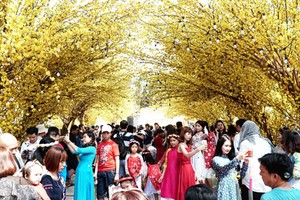 Các điểm đến trong nước hút khách dịp Tết Nguyên đán 2019. Ảnh: Phong Vinh.