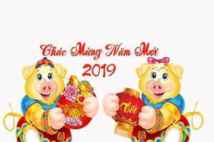 Những câu chúc Tết thú vị để nhắn tin chúc Tết Kỷ Hợi