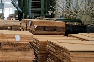 Nhà máy chế biến gỗ của SJF.