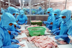 Dấu hiệu đáng lưu ý khi muốn đầu tư vào Công ty cổ phần Vĩnh Hoàn (VHC)