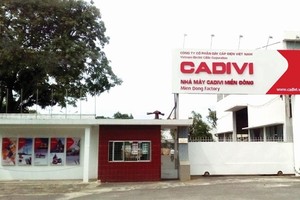 Cadivi (CAV) lãi trên 530 tỷ đồng năm 2018