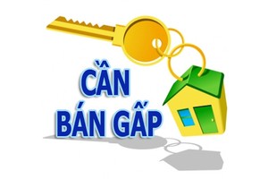 Các thông tin rao bán nhà được nhiều người quan tâm nhưng chủ yếu đến từ phía môi giới.