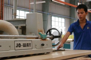 Xuất khẩu gỗ vào Mỹ: Rủi ro phát sinh sau cơ hội