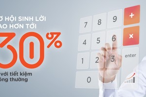 Chứng chỉ tiền gửi - Kênh đầu tư an toàn, cơ hội sinh lời cao