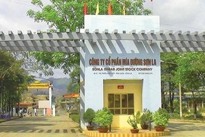 Mía đường Sơn La (SLS) bị phạt vì hàng loạt sai phạm về thuế