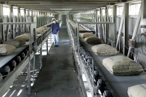 2019, nhu cầu xi măng dự báo tăng 6-8%, hứa hẹn giúp doanh nghiệp ngành này gia tăng lợi nhuận.