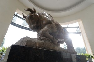 Mở kênh thông tin về thị trường trái phiếu doanh nghiệp