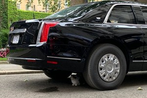 Mèo Larry nằm dưới gầm siêu xe "quái thú" của ông Trump (Ảnh: Twitter).