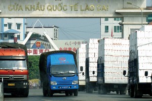 Bảo hiểm xuyên biên giới: Cơ hội mới cho bảo hiểm xe