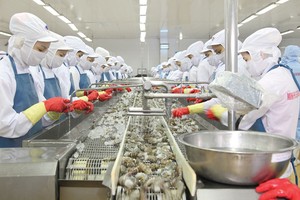 CTCP Thủy sản Minh Phú đang phải đối phó với khủng hoảng truyền thông liên quan đến xuất xứ nguyên liệu tôm.