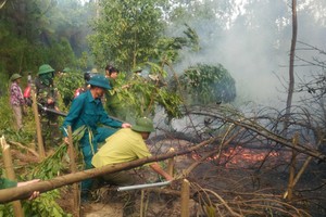 Nhà chức trách dập lửa tại đám cháy rừng ở huyện Lộc Hà. Ảnh: Đ.H.