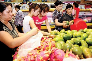 Tăng trưởng GDP năm 2019 tiếp tục duy trì ở mức hợp lý.