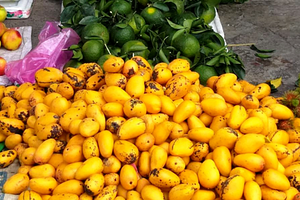 Xoài mút được đổ đống bán ở vỉa hè Sài Gòn với giá rẻ. Ảnh: Thi Hà.