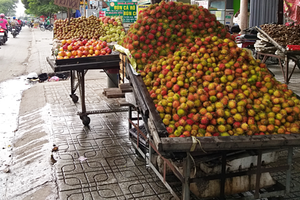 Chôm chôm được bán với giá rẻ ở lề đường Sài Gòn. Ảnh: Hồng Châu.