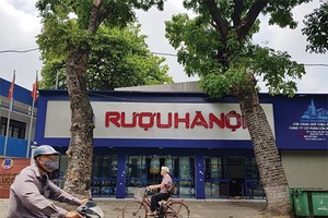 6 tháng, Halico báo lỗ 37 tỷ đồng