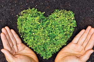 Liệu có cần hiệp hội phụ trợ bảo hiểm?