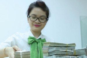 Dự trữ ngoại tệ dồi dào và nguồn kiều hối lớn sẽ hạn chế áp lực lên tỷ giá VND/USD.