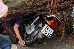 Cây đổ đè một nam thanh niên tử vong.