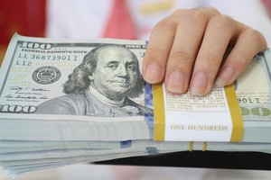 Từ 31/9/2019, các tổ chức tín dụng, chi nhánh ngân hàng nước ngoài sẽ dừng cho vay ngoại tệ trung và dài hạn để thanh toán ra nước ngoài.