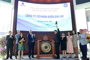 Điện Gia Lai (GEC): Công ty đa dạng năng lượng tái tạo duy nhất niêm yết trên HOSE
