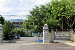 Đường Quảng Ngãi (QNS): Nhiều bài toán “đau đầu”