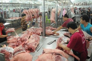 Dịch tả lợn châu Phi buộc phải tiêu huỷ 5,2 triệu con lợn khiến nguồn cung thịt lợn trong nước dần khan hiếm, đẩy giá tăng mạnh. Ảnh Internet