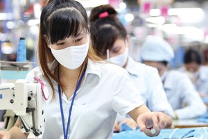 Bảo hiểm xã hội mạnh tay với doanh nghiệp nợ đọng 