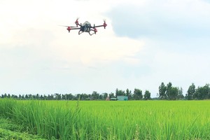 Lộc Trời thay đổi cho cuộc chơi dài hạn