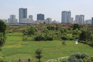 Cổ phần hóa chậm, doanh nghiệp kêu “tắc” về đất đai 