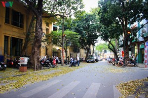 Vẻ đẹp Hà Nội hấp dẫn du khách quốc tế.