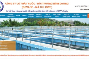 9 tháng, Biwase (BWE) lãi 305 tỷ đồng, tăng 36%  so với cùng kỳ