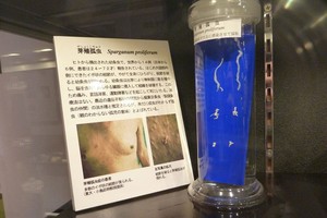 Mỗi mẫu vật đều được giới thiệu chi tiết về tác hại và vật chủ ký sinh.