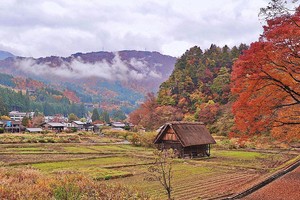 Làng Doraemon đẹp tựa cổ tích vào mùa thu Nhật Bản