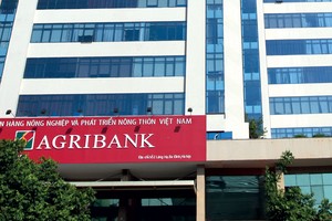 Tăng trưởng tín dụng xanh chưa tương xứng với tiềm năng thực tế 