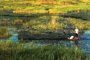 Hỗ trợ giảm nghèo bền vững và nền kinh tế “xanh”