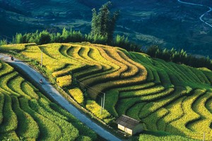 Khi việc minh bạch thông tin tốt hơn, các nhà đầu tư sẽ tự tin hơn về độ chân thật của các dự án tài chính xanh.