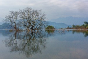 Vườn quốc gia Vũ Quang (Hà Tĩnh).