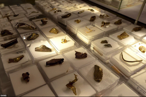 Những cổ vật bằng vàng được tìm thấy.