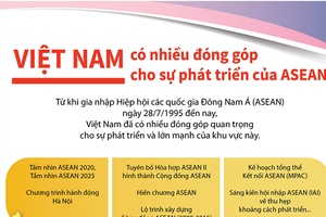 Việt Nam có nhiều đóng góp cho sự phát triển của ASEAN