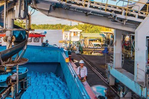 Đạm Cà Mau vững bước trên hành trình hướng đến nông nghiệp xanh 